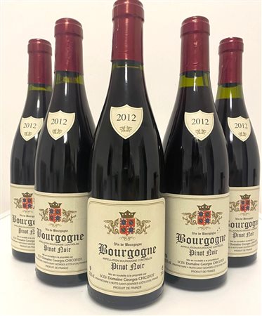 GRUPPO DI 5 BOTT. DI PINOT NOIR CHICOTOT 2012