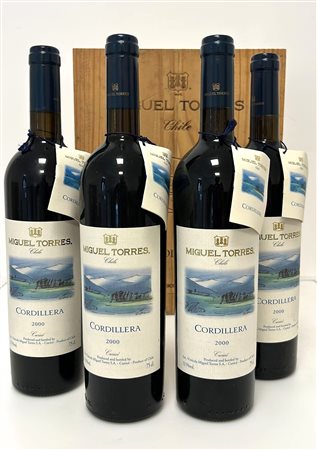 GRUPPO DI 4 BOTT. CORDILLERA 2000