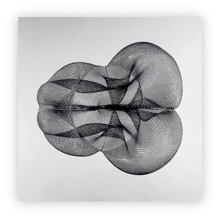 CORRADO BOVE - Ermafrodito, 2006