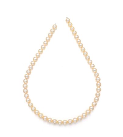 Filo di perle in professione Perle giapponesi da coltivazione in acqua marina...