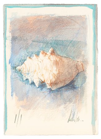 Pedro Cano (Blanca 1944)  - Conchiglia di strombo