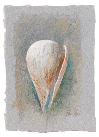 Pedro Cano (Blanca 1944)  - Conchiglia a cono