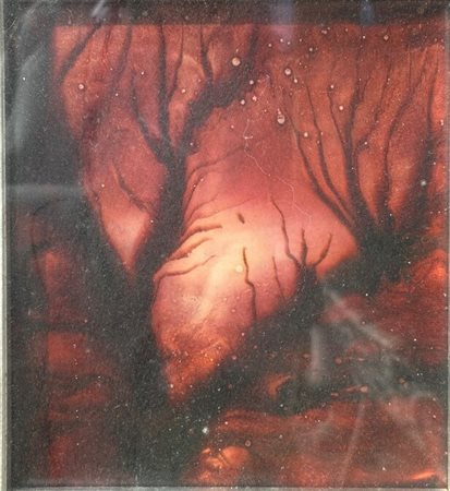 In cornice. Emilio Conciatori (1933 - ) Coppia di dipinti tecnica mista su...