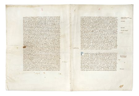 Raccolta di 13 pergamene. Testi profani e sacri. XII- XVI secolo. Manoscritti...