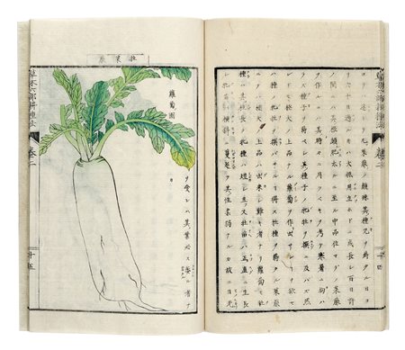 Nobuhiro Sato, Somoku Rokubu Koshuho (“Metodi di coltivazione in sei parti di...