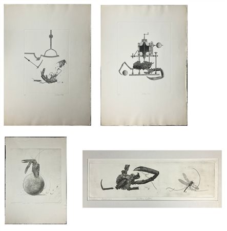 Vincenzo Gatti Lotto composto da quattro acqueforti raffiguranti insetti di misu