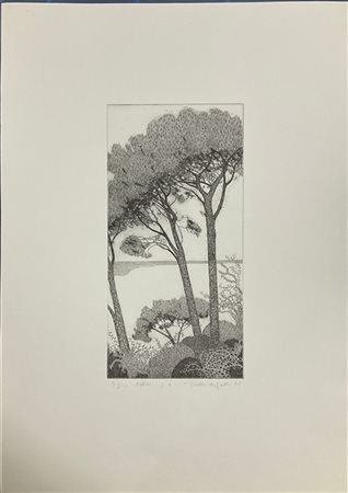 Federica Galli "I pini italici" 1978
acquaforte - prova d'artista
(lastra cm 39x