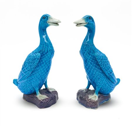 Coppia di anatre in ceramica smaltata azzurra, in stile Kangxi. Raffigurate in