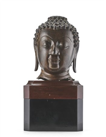 Testa di Buddha in bronzo. Raffigurato con un viso ovale dall'espressione seren