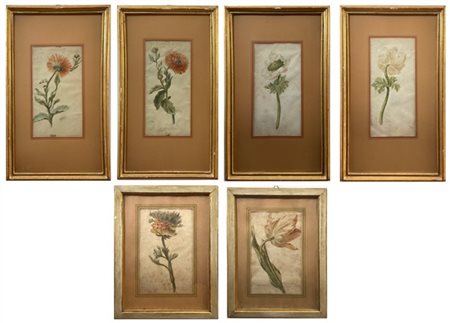 Artista del secolo XVIII

Gruppo di sei disegni ad acquerello raffiguranti "Fio