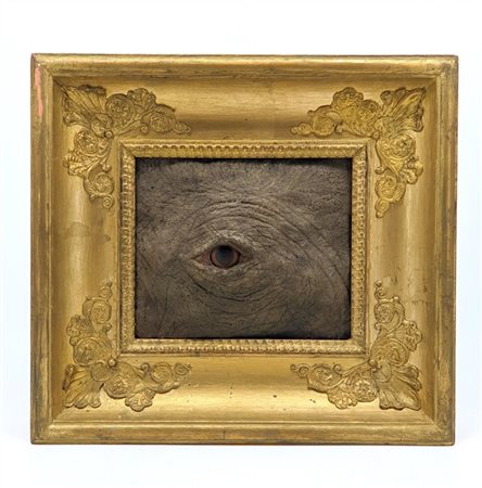 Composizione in materiali vari di forma rettangolare con occhio di elefante in