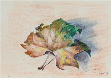 Vagarini Cesare Foglia, 1981 pastelli e china su cartoncino, cm. 25x35...