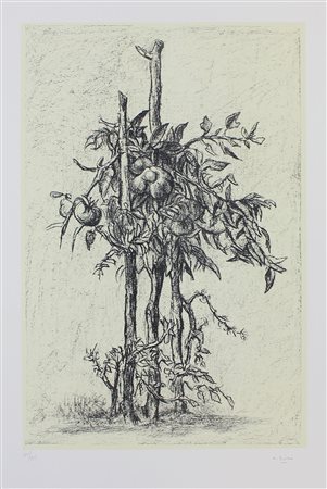 Ziveri Alberto Pianta di pomodoro, 1978 litografia a 2 colori su carta, cm....