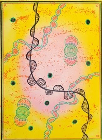 Rocas, Incontri di genomi, 2025

