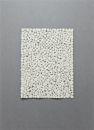 BOLOGNINI GIOVANNA 2023