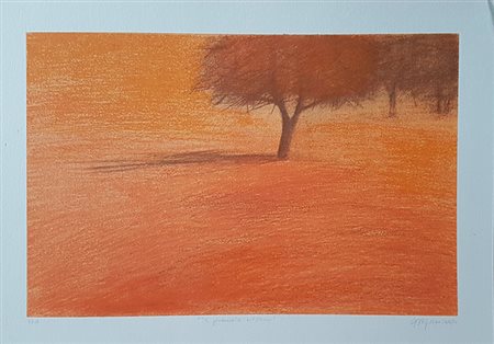 DAL GIOZ GRAZIELLA Il grande albero