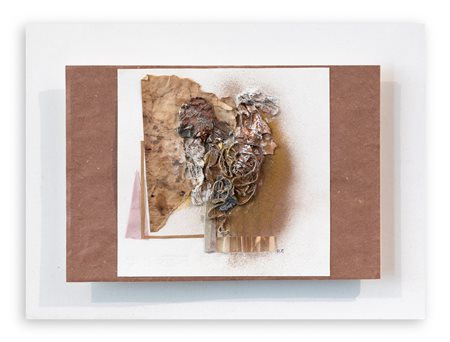 DIANA FORASSIEPI - Torso