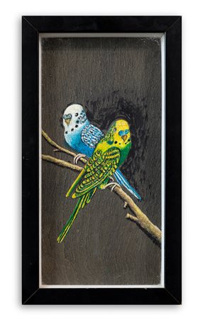 ANONIMO - Pappagallini