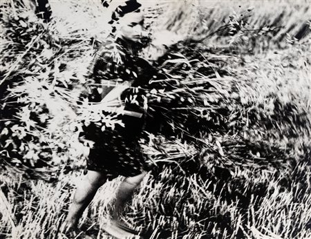 Mario Giacomelli (1925 - 2000)  - La Buona Terra , 1964/1966