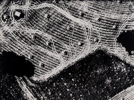 Mario Giacomelli (1925 - 2000)  - Presa di coscienza sulla natura , 1975/1985
