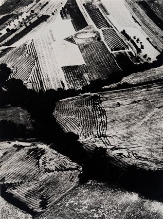 Mario Giacomelli (1925 - 2000)  - Presa di coscienza sulla natura, 1978