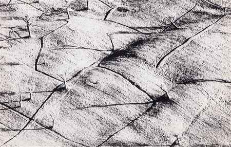 Mario Giacomelli (1925 - 2000)  - Presa di coscienza sulla natura, 1975/1985