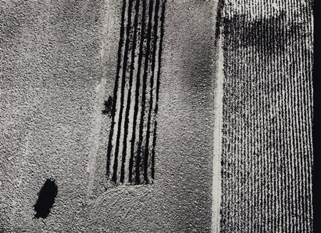 Mario Giacomelli (1925 - 2000)  - Presa di coscienza sulla natura, 1980