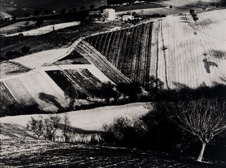 Mario Giacomelli (1925 - 2000)  - Presa di coscienza sulla natura , 1975/1985