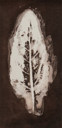 Paolo Monti (1908 - 1982)  - Senza titolo (Chimigramma), 1960s