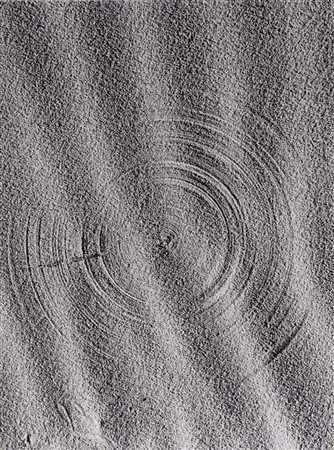 Mario De Biasi (1923 - 2013)  - Il compasso della natura, 1972
