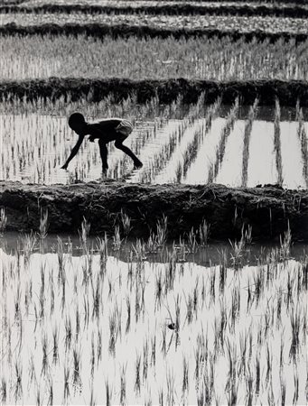 Fulvio Roiter (1926 - 2016)  - Pays Senufo, 1970s