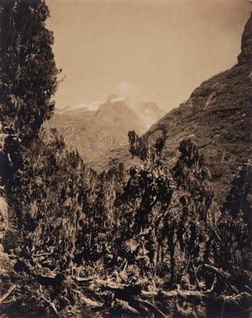 Vittorio Sella (1859 - 1943)  - Monte Baker e valle Mobuku dal Campo di Bujongolo, 1906
