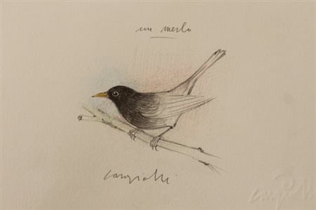 CLAUDIO CARGIOLLI, "Un Merlo", 2024