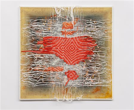 ROSASPINA Senza titolo