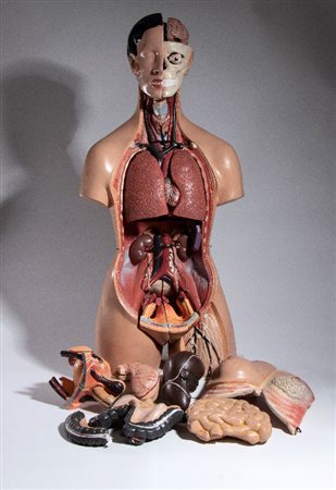  
Didattica - PARAVIA (?) - Corpo umano 1960s
 cm.85