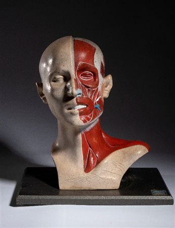  
Didattica - PARAVIA (?) - Corpo umano 1960s
 cm.38x42