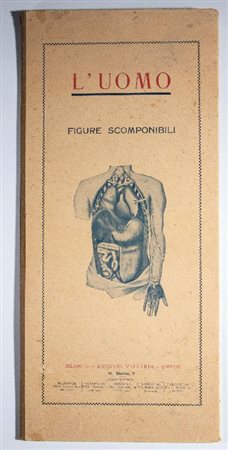  
Didattica - VALLARDI - IL CORPO UMANO 1930s
 