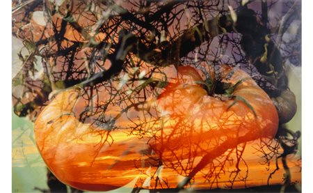 PETER FISCHLI E DAVID WEISS