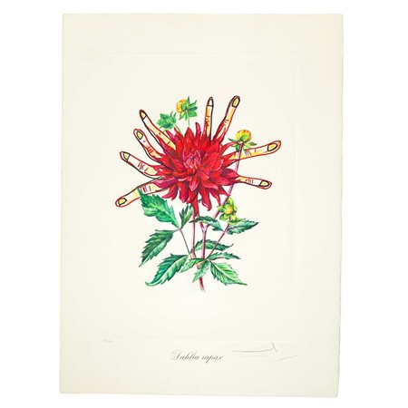 Salvador Dalì (Spanish 1904 - 1989)  - Fiori surrealisti: Dahlia rapax