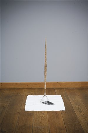 Giuseppe Penone N. 1947 MUTA (LA PELLE DEL TEMPO) firmato, intitolato e...