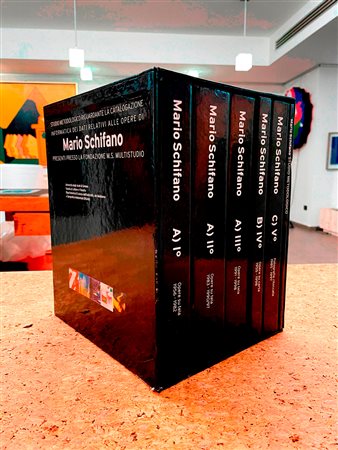 MARIO SCHIFANO - Studio metodologico riguardante la catalogazione informatica dei dati relativi alle opere di Mario Schifano presenti presso la Fondazione M.S. Multistudio