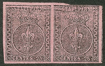 Antichi Stati Italiani - Parma - Coppia c.25 violetto nuova con gomma