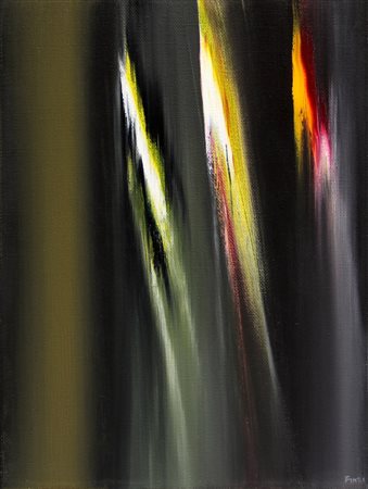 FINZI Ennio, Il verso del colore in nero