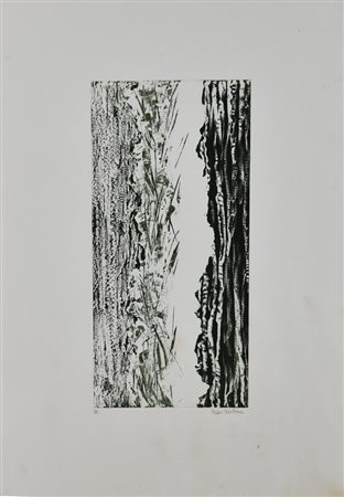 Cristina Pisani SENZA TITOLO acquaforte, cm 30x14,5, su foglio cm 34x50; es....