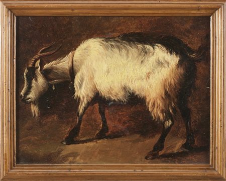 Francesco Londonio "Capretta"
olio su cartoncino (cm 24,5x32)
probabile firma au