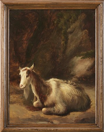 Francesco Londonio "Capretta accovacciata in un paesaggio"
olio su cartoncino (c