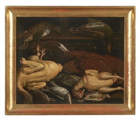 Felice Boselli (attr.)

"Composizione con selvaggina"
olio su tela (cm 60x75)
et