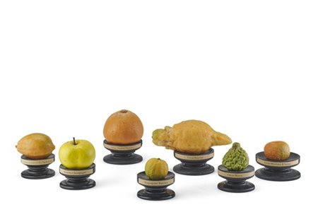 Gruppo di sette diversi modelli botanici di frutti in cera e altri materiali po