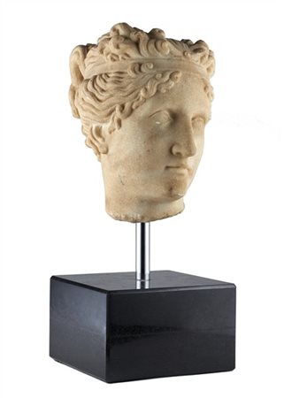 Testa di Venere dall'antico in marmo scolpito (h. cm 26) su base in marmo nero