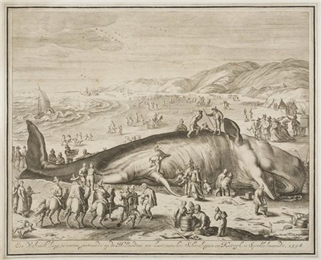 GILLIAM VAN DER GOUWEN "Balena arenata a Berckhey, 1598", da un soggetto di Jaco